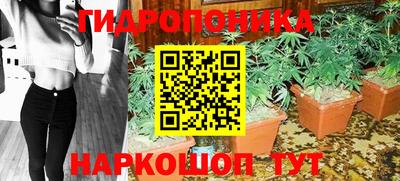 ПСИЛОЦИБИНОВЫЕ ГРИБЫ Владимир