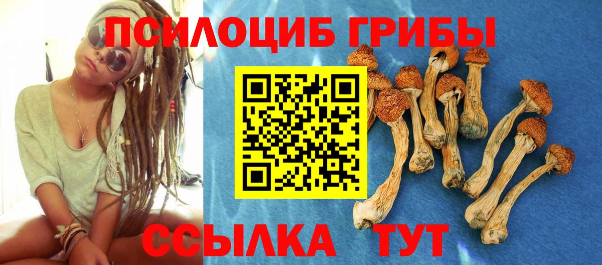 Галлюциногенные грибы мицелий  Вход с VPN  Отрадный 