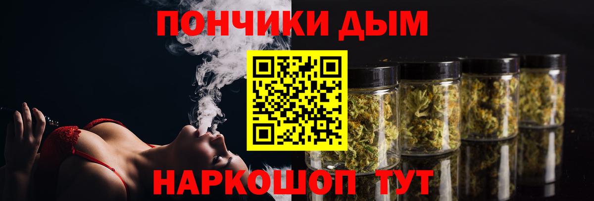 Конопля планчик Отрадный